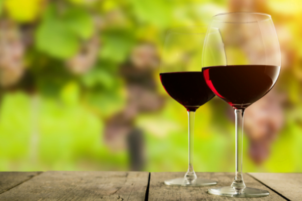 André Luiz Veiga Lauria