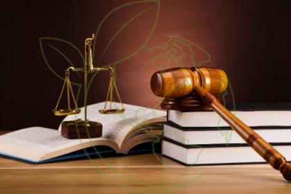 Carlos Alberto Arges Junior