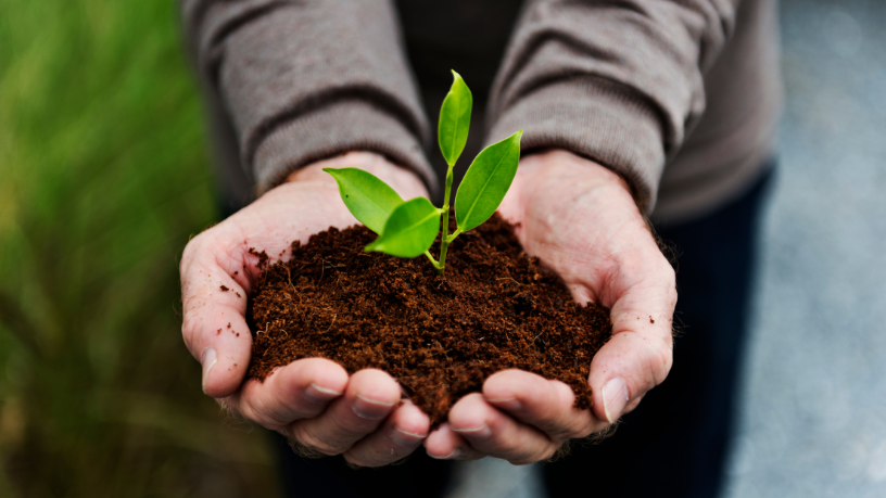 O impacto ambiental do plástico descartável é analisado por Elias Assum Sabbag Junior sob a ótica da sustentabilidade.