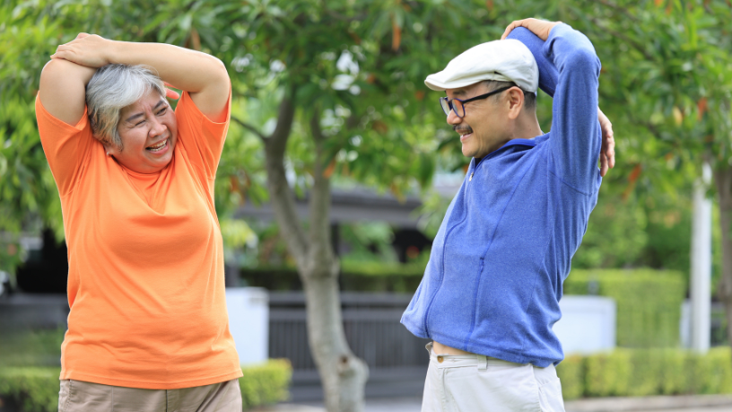 Sindnapi - Sindicato Nacional dos Aposentados, Pensionistas e Idosos