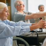 Sindnapi - Sindicato Nacional dos Aposentados, Pensionistas e Idosos