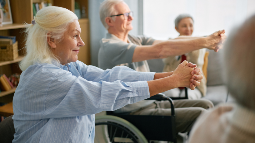 Sindnapi - Sindicato Nacional dos Aposentados, Pensionistas e Idosos