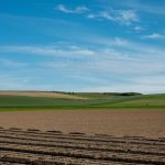 Extensos campos agrícolas sob um céu azul em Escalles, na região de Hauts-de-France, França.