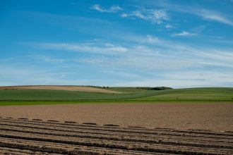 Extensos campos agrícolas sob um céu azul em Escalles, na região de Hauts-de-France, França.