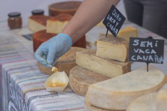 Queijos artesanais e porções para degustação expostos em uma banca de feira ao ar livre.